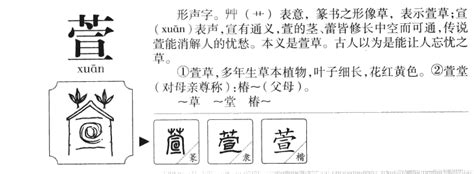 若萱 名字|若萱的名字寓意是什么意思 若萱的意思